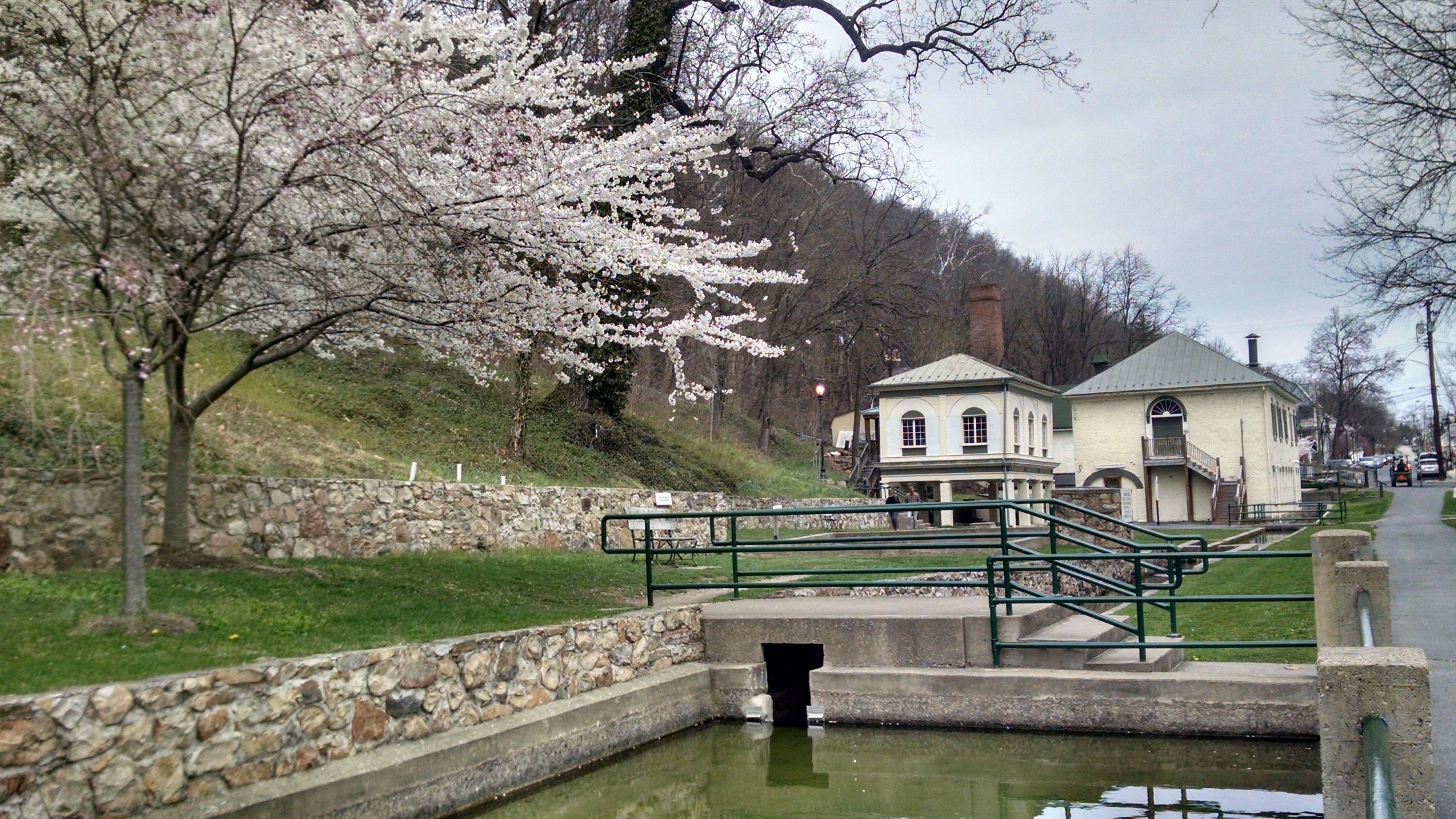 Spring trees in bloom at Berkeley Springs State Park, WV