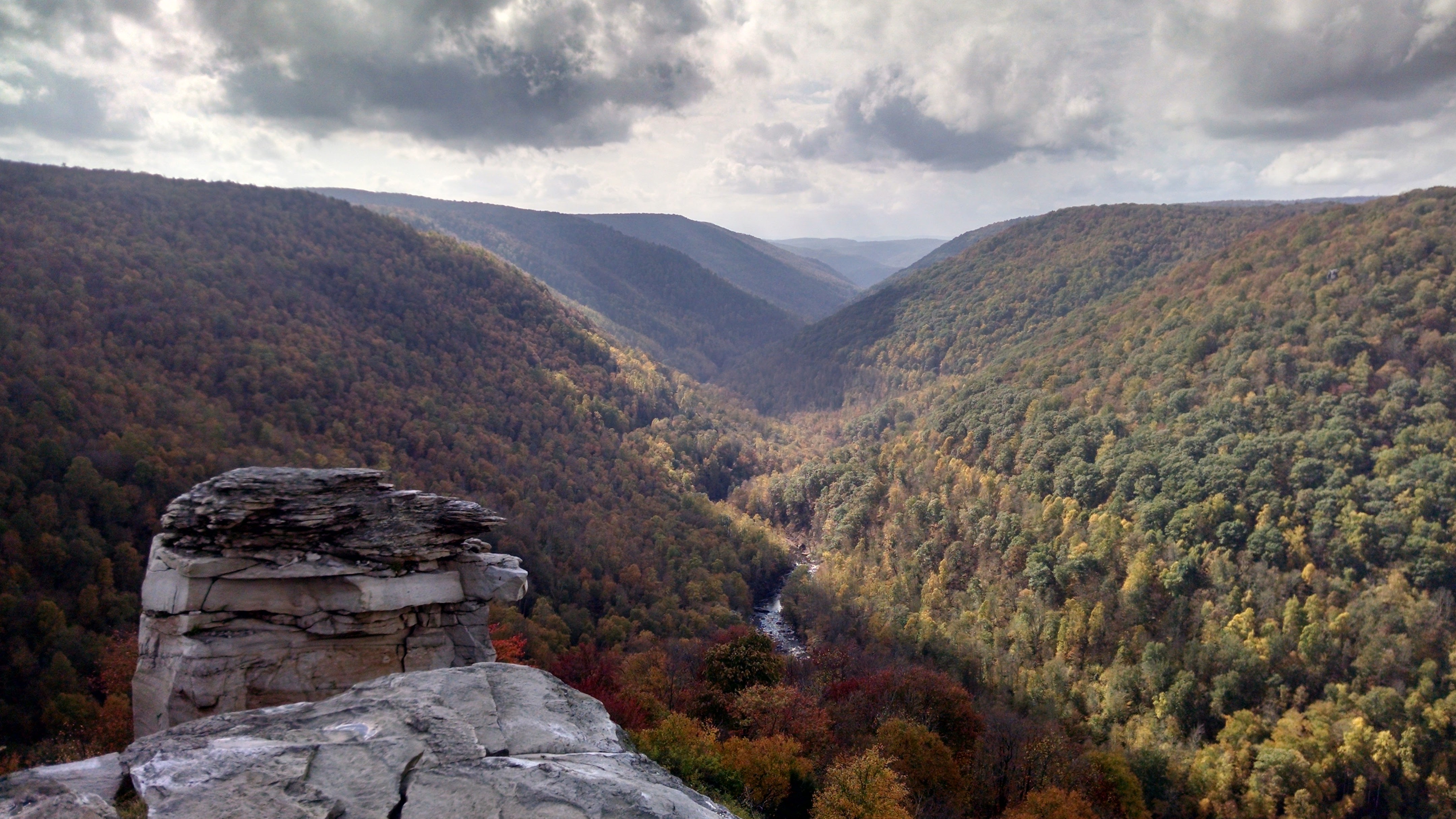 Lindy Point at Blackwater Falls State Park with fall foliage