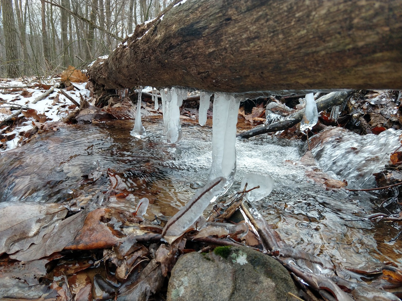 Icicles on log across stream