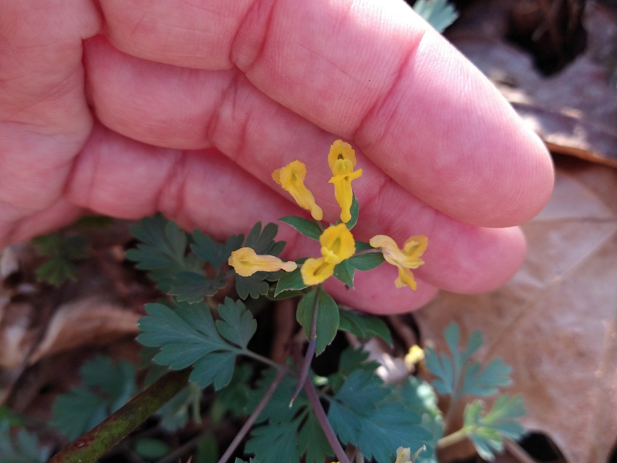 Spring, Easter & keeping&nbsp;on