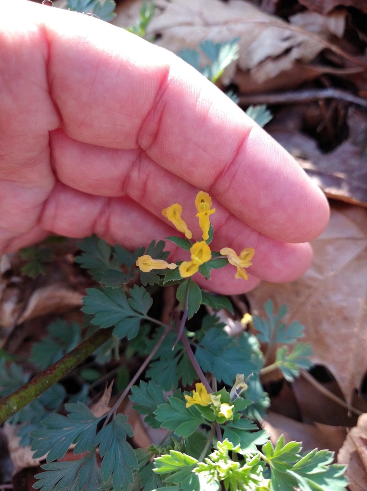 Spring, Easter & keeping&nbsp;on